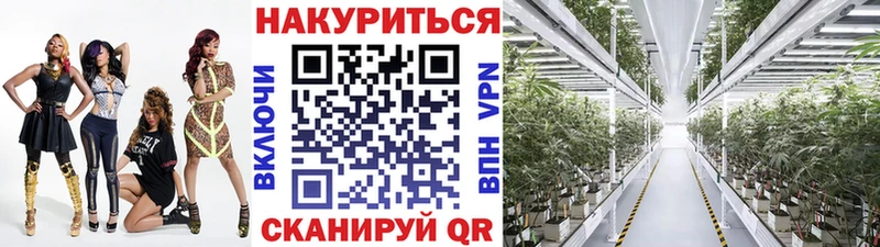 блэк спрут ссылки Краснослободск Бошки Шишки AK-47 наркошоп